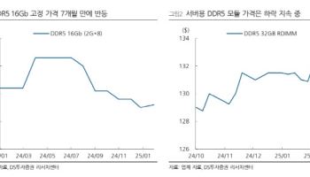 “DDR5 칩가격 7개월만 반등…하반기 수요 증가 기대”