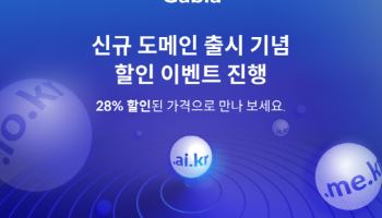 'ai.kr' 도메인 생겼다…가비아, 등록 시작