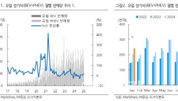 “1·2월 유럽 전기차 판매 호조…규제·가격조정 영향”-iM