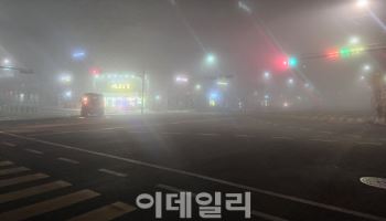 “고춧가루 뿌린 것처럼 매워요” 황사 덮친 한반도