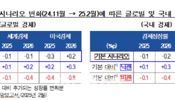 "美 관세정책 강도 더 높아지면 韓 내년 성장률 1.4% 될수도"