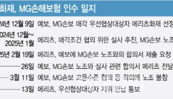 메리츠, MG손보 인수 포기…청산 우려 속 추가 인수 가능성