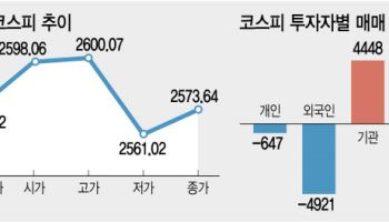 ‘오락가락’ 코스피, 변동성 장세…“흔들릴 땐 2등주”