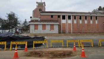 포천 전투기 오폭사고로 30명 피해…동물은 167마리 죽어