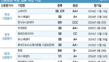 ‘제2의 홈플러스’ 될라…PEF가 사들인 기업 신용등급 하향 우려