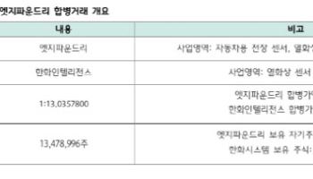 엣지파운드리, 한화인텔리전스 합병으로 한화 그룹사와 시너지 확대-하나