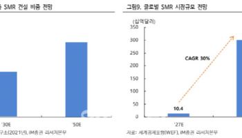 삼성물산, SMR 사업 확대·지배구조 변화 수혜-iM