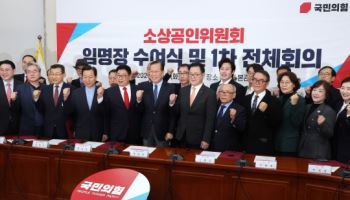 “내수시장·골목상권이 국민 경제”…與, 소상공인위원회 출범