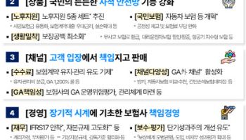 금융당국, '5대 전략' 보험개혁 종합방안 마련