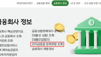 금융위, 선불업자 16곳 신규 등록…"미등록 업체 이용 주의"