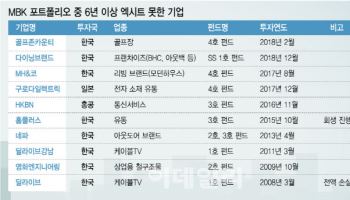 평균 회수 기간 6년…매각 실패한 '아픈 손가락' 수두룩