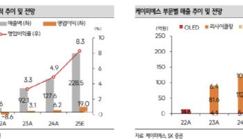 케이피에스, 실적 대비 저평가-SK