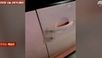 "내 차가 분홍색이라서?"...아파트 주차장 '체액 테러' 범인은