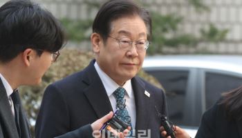 이재명 2심 선고 앞두고…헌재연구원 "선거법 한계" 논문 발표