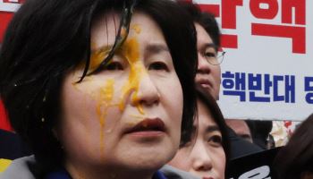 기자회견 중 계란 맞은 野 의원…최상목 "집회·시위 현장관리에 만전"