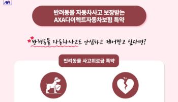 악사손보, 다이렉트車보험에 '반려동물 사고위로금' 특약 신설