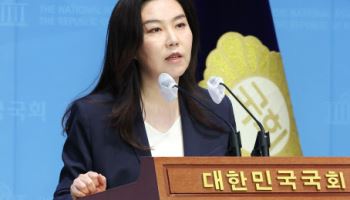 민주 "국힘, 극우집회 힘 실어줘…'극우 중독' 친윤에 잠식"