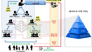 보험설계사 동원해 '1400억 유사수신'…342억 못 돌려줘