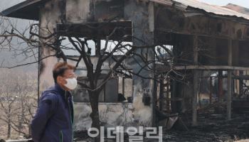 전국 곳곳서 산불 42건 발생…축구장 5811개 면적 태웠다