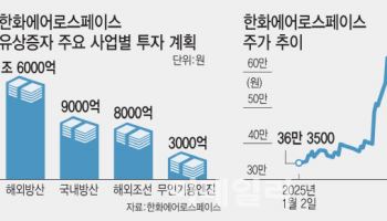 “주주 이익보단 회사 이익”…외통수 맞은 한화에어로 주주