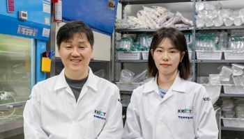 꿈의 항암제로 고형암 치료길 열렸다…韓 연구팀 실마리 제시