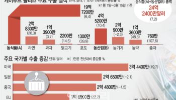 美관세 폭탄 우려에도 굳건한 K푸드…식을 줄 모르는 라면·인삼 등 인기