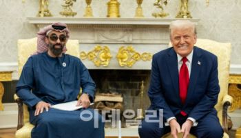 美에 1.4조달러 보따리 푸는 UAE…한국엔 언제 풀까
