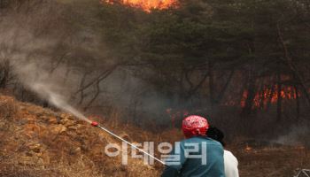 사람 손으로 낸 산불인데…온정주의에 처벌은 고작