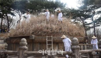 한식 맞아 태조 이성계 건원릉 봉분 덮은 억새 자른다