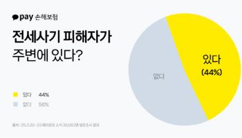 카카오페이손보 “주변에 전세사기 피해자 있다 44%”