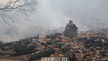 조계종 "문화유산 보호도 중요하지만 생명이 우선시 돼야"