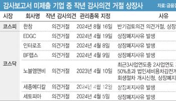 감사보고서 제출 늑장에 연장 요청까지…불안한 주주들