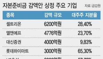 유행처럼 번지는 '감액 배당'…"법 개정 전 서둘러" 꼼수 지적도
