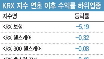 주주환원 모멘텀 소멸에 산불 피해도…보험株 주가 뚝