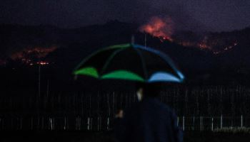 "산불 진화율 63%…야간 안동 시내 저지선 구축 중점"