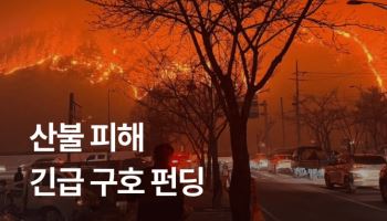 와디즈, 산불 피해 복구 돕는 ‘긴급 구호’ 펀딩 진행