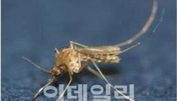 이 와중에 이것까지…"사망에 이를 수도" 전국 주의보