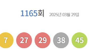 제1165회 로또 1등 ‘6, 7, 27, 29, 38, 45’…보너스 ‘17’