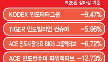 고꾸라지는 '中 대체' 인도 증시…中으로 자금 '우르르'