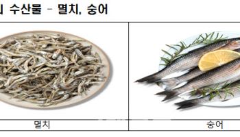 해수부, 4월 이달의 수산물 멸치·숭어 선정