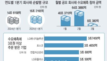 탄핵·트럼프 리스크 무색…2월에 더 거셌던 연초효과