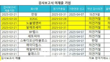 늑장 제출 감사보고서 결국 '비적정'…투자자 발동동