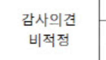 삼부토건·금양 등 코스피 13개사, 감사의견 ‘비적정’