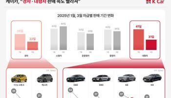 “중고차 시장도 양극화 심화…경차·대형차 수요 몰린다”