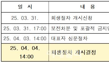 법원, '발란' 회생절차 개시 결정…관리인 선임은 안해