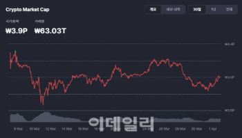비트코인, 1억2000만원대 횡보...트럼프 관세폭탄에도 ‘굳건’