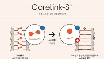 “손상모 고민 해결”…코스맥스, 세계 최초 소재·기술 개발