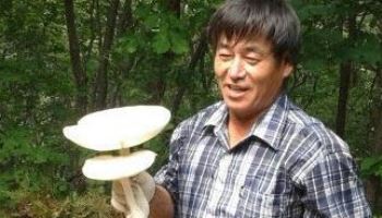 귀갓길 계단서 쓰러진 목수 아빠…6명 살리고 하늘로 