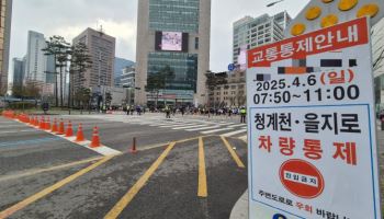 尹 파면에도 여전한 주말 집회, 마라톤까지…답답한 시민들