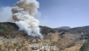 해는 졌는데 하동산불 아직 밝아…500여명 야간진화 투입